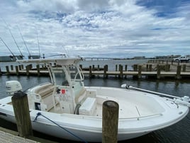 Ft Morgan Inshore/Nearshore 