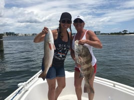 Ft Morgan Inshore/Nearshore 