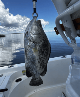 4 Hour Trip – Bay Fishing