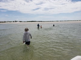 Bay Tour & Excursion