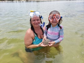 Bay Tour & Excursion