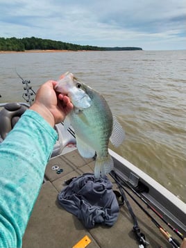 Crappie Casting 