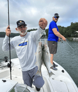 4-5 Hour Bass Trip - Hartwell 