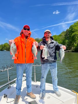 4-5 Hour Bass Trip - Hartwell 