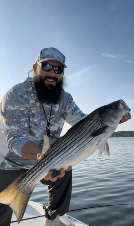 4-5 Hour Bass Trip - Hartwell 