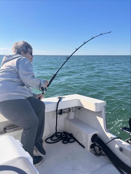 6-8 Hour Trip – Inshore/Nearshore