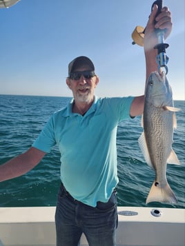 Inshore Slam Tampa Bay