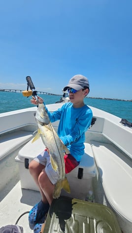 Inshore Slam Tampa Bay