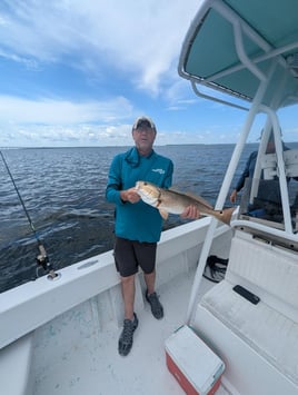 Inshore Slam Tampa Bay