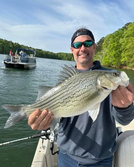 Hybrid And Striper Fishing Trips