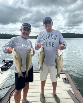 Hybrid And Striper Fishing Trips