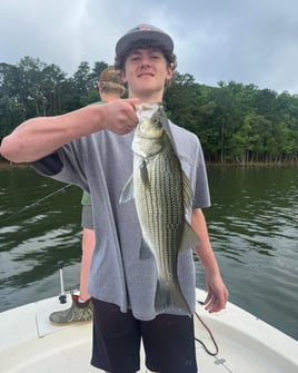 Hybrid And Striper Fishing Trips