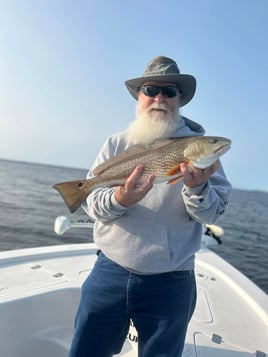 3-8 Hour Day Trip