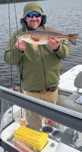 3-8 Hour Day Trip