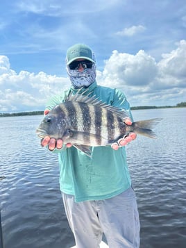 3-8 Hour Day Trip