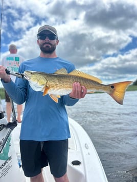 3-8 Hour Day Trip