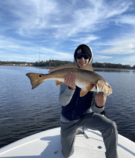3-8 Hour Day Trip