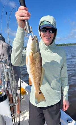 3-8 Hour Day Trip