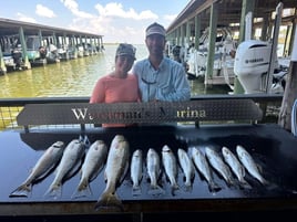 Inshore Fishing Trip