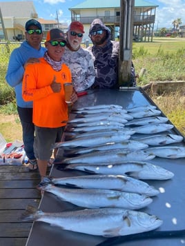 Inshore Fishing Trip