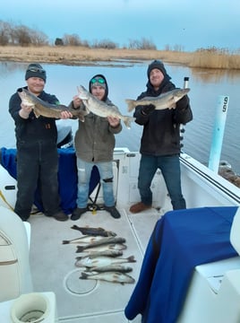 Half-day Walleye Fishing