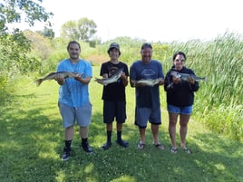 Half-day Walleye Fishing