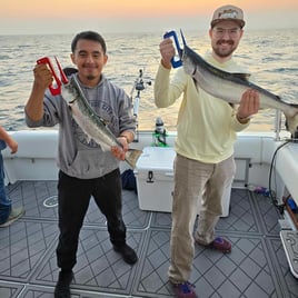 Guided Freshwater Fishing