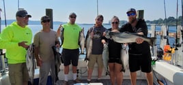 Guided Freshwater Fishing