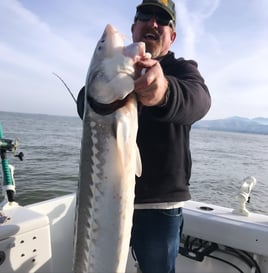 Sturgeon / Striped Bass Trip