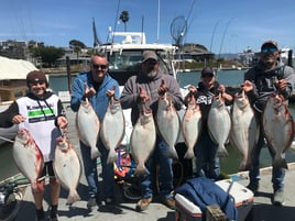 Halibut/Striped Bass