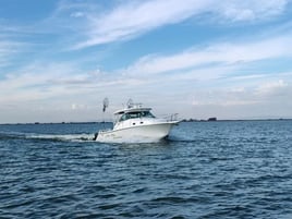 Halibut/Striped Bass