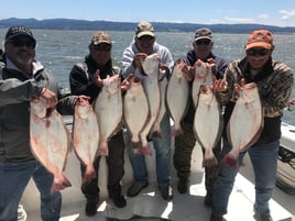 Halibut/Striped Bass