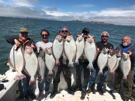 Halibut/Striped Bass