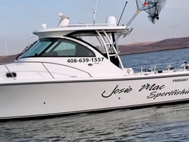 Halibut/Striped Bass