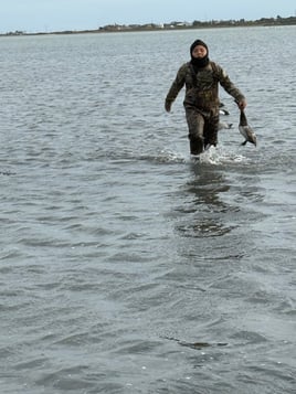 Duck Hunts