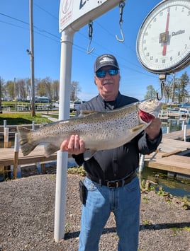 Salmon & Trout Trolling