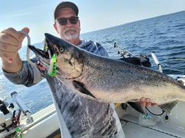 Salmon & Trout Fishing 