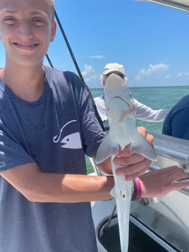 Light Tackle Inshore Specialist