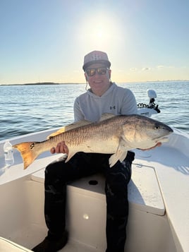 Bull Redfish And Shark Fishing