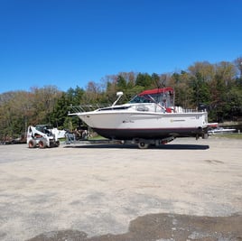 Lake Ontario Salmon & Trout Trip