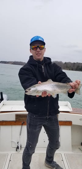 Spring Blitz Trip