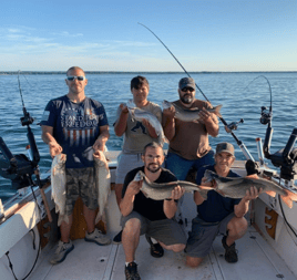 Spring Blitz Trip
