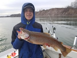 Spring Blitz Trip