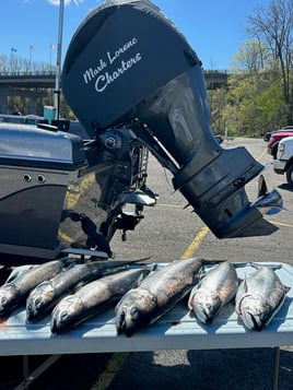 Lake Erie Fishing Trip (Copy)