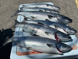 Lake Erie Fishing Trip (Copy)