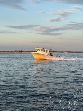 Exciting Offshore Experience
