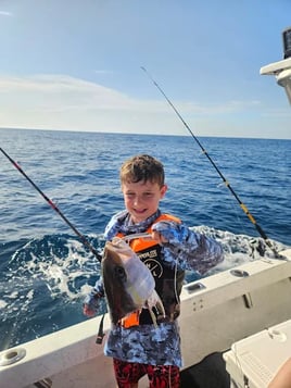 Exciting Offshore Experience