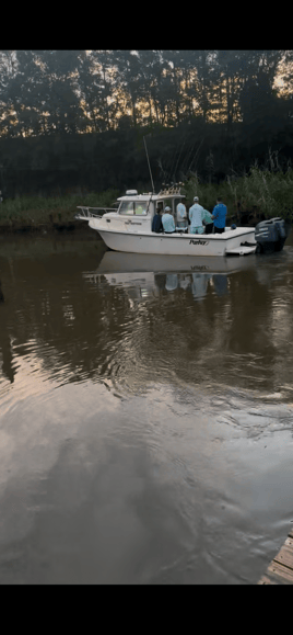 Offshore Fishing!