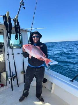 Snapper Trip