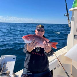 Snapper Trip
